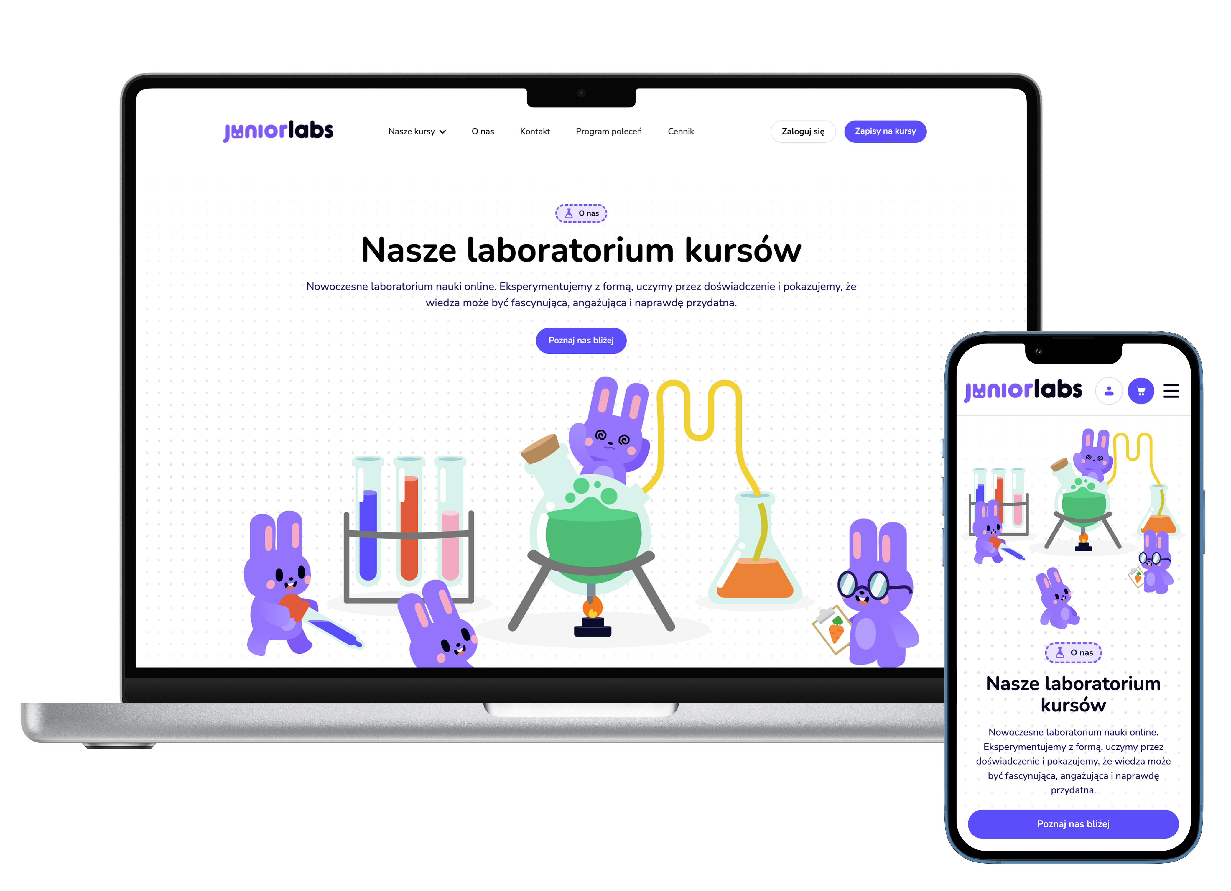 Case study — podgląd realizacji strony